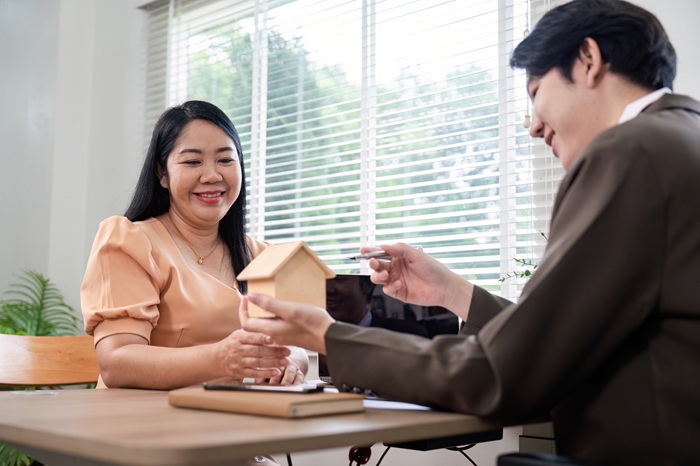 Development Support Services